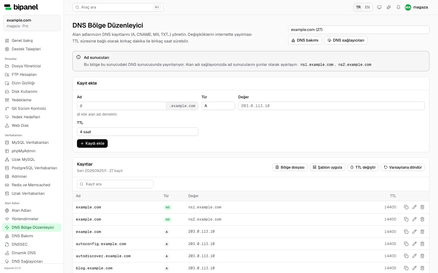 DNS bölge düzenleyici: example.com bölgesinin A, MX, TXT, CAA ve CNAME kayıtları, kayıt ekleme formu.